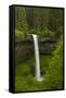 South Falls, Silver Falls State Park, Oregon, Usa-Michel Hersen-Framed Stretched Canvas