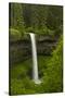 South Falls, Silver Falls State Park, Oregon, Usa-Michel Hersen-Stretched Canvas