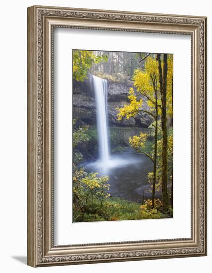 South Falls, Silver Falls State Park, Oregon, USA-Jamie & Judy Wild-Framed Photographic Print