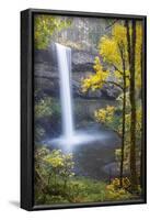 South Falls, Silver Falls State Park, Oregon, USA-Jamie & Judy Wild-Framed Photographic Print