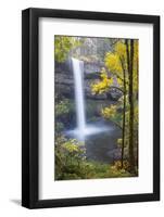 South Falls, Silver Falls State Park, Oregon, USA-Jamie & Judy Wild-Framed Photographic Print