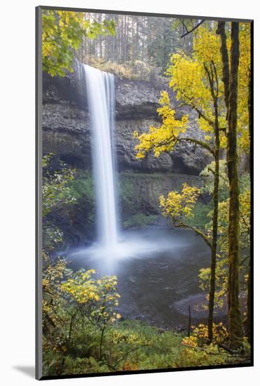 South Falls, Silver Falls State Park, Oregon, USA-Jamie & Judy Wild-Mounted Photographic Print