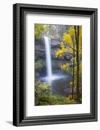 South Falls, Silver Falls State Park, Oregon, USA-Jamie & Judy Wild-Framed Photographic Print