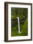 South Falls, Silver Falls State Park, Oregon, Usa-Michel Hersen-Framed Photographic Print