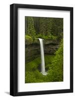 South Falls, Silver Falls State Park, Oregon, Usa-Michel Hersen-Framed Photographic Print