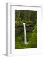 South Falls, Silver Falls State Park, Oregon, Usa-Michel Hersen-Framed Photographic Print