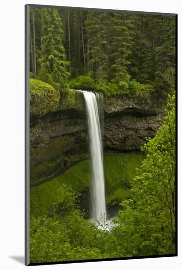 South Falls, Silver Falls State Park, Oregon, Usa-Michel Hersen-Mounted Photographic Print