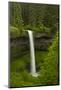 South Falls, Silver Falls State Park, Oregon, Usa-Michel Hersen-Mounted Photographic Print