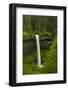 South Falls, Silver Falls State Park, Oregon, Usa-Michel Hersen-Framed Premium Photographic Print