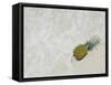 South Florida Pineapple V-Adam Mead-Framed Stretched Canvas