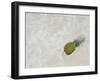 South Florida Pineapple V-Adam Mead-Framed Photographic Print