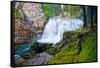 South Fork Falls-Michael Broom-Framed Stretched Canvas