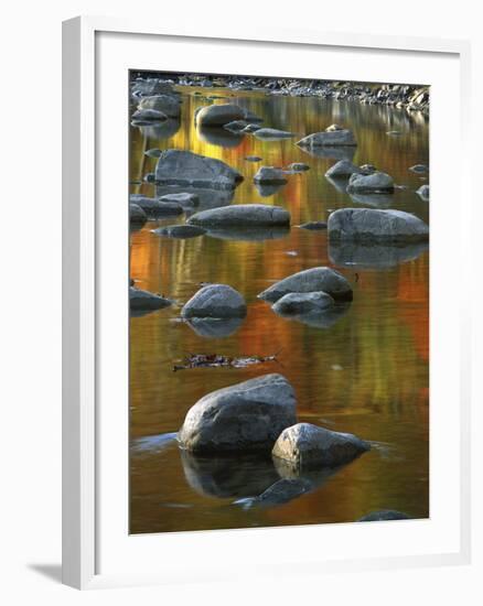 South Fork Potomac R, Monongahela National Forest, West Virginia, USA-Charles Gurche-Framed Photographic Print