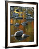 South Fork Potomac R, Monongahela National Forest, West Virginia, USA-Charles Gurche-Framed Photographic Print