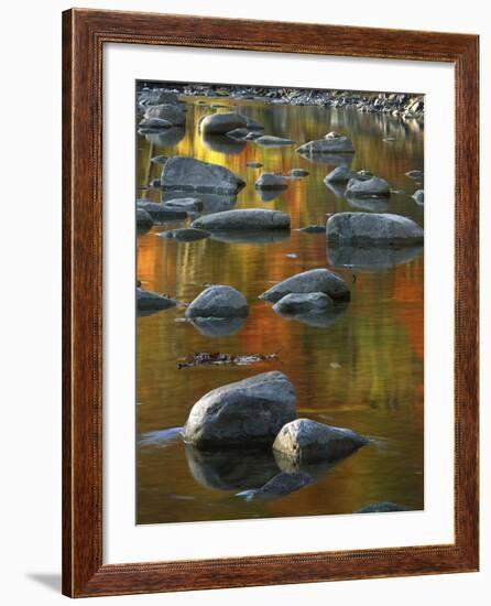 South Fork Potomac R, Monongahela National Forest, West Virginia, USA-Charles Gurche-Framed Photographic Print