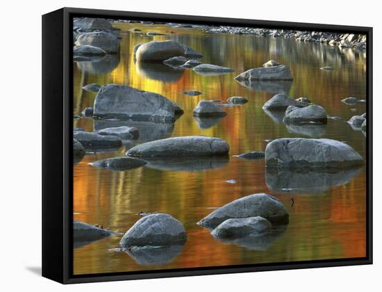 South Fork Potomac R, Monongahela National Forest, West Virginia, USA-Charles Gurche-Framed Stretched Canvas