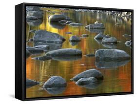 South Fork Potomac R, Monongahela National Forest, West Virginia, USA-Charles Gurche-Framed Stretched Canvas