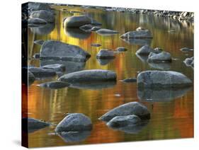 South Fork Potomac R, Monongahela National Forest, West Virginia, USA-Charles Gurche-Stretched Canvas