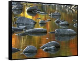 South Fork Potomac R, Monongahela National Forest, West Virginia, USA-Charles Gurche-Framed Stretched Canvas