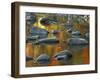 South Fork Potomac R, Monongahela National Forest, West Virginia, USA-Charles Gurche-Framed Premium Photographic Print