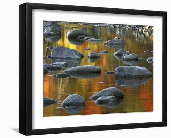 South Fork Potomac R, Monongahela National Forest, West Virginia, USA-Charles Gurche-Framed Premium Photographic Print