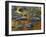 South Fork Potomac R, Monongahela National Forest, West Virginia, USA-Charles Gurche-Framed Premium Photographic Print