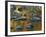 South Fork Potomac R, Monongahela National Forest, West Virginia, USA-Charles Gurche-Framed Photographic Print