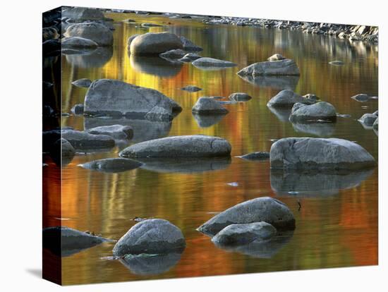 South Fork Potomac R, Monongahela National Forest, West Virginia, USA-Charles Gurche-Stretched Canvas