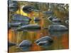 South Fork Potomac R, Monongahela National Forest, West Virginia, USA-Charles Gurche-Stretched Canvas