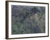 South France, 1908-Konstantin Alexeyevich Korovin-Framed Giclee Print