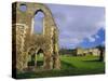 South Gabled End of the Lay Brothers Refectory and Remains of the Church Beyond, Surrey, England-Pearl Bucknell-Stretched Canvas