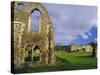 South Gabled End of the Lay Brothers Refectory and Remains of the Church Beyond, Surrey, England-Pearl Bucknell-Stretched Canvas