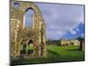 South Gabled End of the Lay Brothers Refectory and Remains of the Church Beyond, Surrey, England-Pearl Bucknell-Mounted Photographic Print