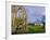 South Gabled End of the Lay Brothers Refectory and Remains of the Church Beyond, Surrey, England-Pearl Bucknell-Framed Photographic Print