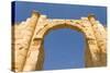 South Gate, Jerash, Jordan. Once the Roman Decapolis city of Gerasa.-Nico Tondini-Stretched Canvas