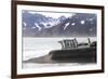 South Georgia. A group of king penguins walk on the beach in a tight bunch.-Ellen Goff-Framed Photographic Print