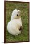 South Georgia. Antarctic Fur Seal Pup in the Rare Blonde Color-Inger Hogstrom-Framed Photographic Print