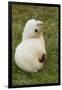 South Georgia. Antarctic Fur Seal Pup in the Rare Blonde Color-Inger Hogstrom-Framed Photographic Print