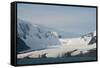 South Georgia. Bay of Isles. Glacier Coming Down from the Mountains-Inger Hogstrom-Framed Stretched Canvas