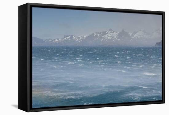 South Georgia. Fortuna Bay. Katabatic Winds-Inger Hogstrom-Framed Stretched Canvas