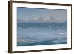 South Georgia. Fortuna Bay. Katabatic Winds-Inger Hogstrom-Framed Photographic Print