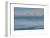 South Georgia. Fortuna Bay. Katabatic Winds-Inger Hogstrom-Framed Photographic Print