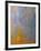 South Georgia Island Abstract-Art Wolfe-Framed Photographic Print