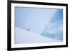 South Georgia Island. Chinstrap Penguin on Iceberg-Jaynes Gallery-Framed Photographic Print