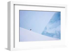 South Georgia Island. Chinstrap Penguin on Iceberg-Jaynes Gallery-Framed Photographic Print