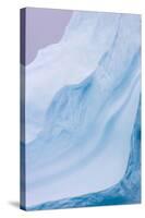 South Georgia Island. Iceberg Shapes-Jaynes Gallery-Stretched Canvas