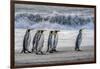 South Georgia Island. King penguins marching in front of Crashing Wave-Howie Garber-Framed Photographic Print