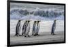 South Georgia Island. King penguins marching in front of Crashing Wave-Howie Garber-Framed Photographic Print