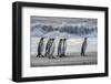 South Georgia Island. King penguins marching in front of Crashing Wave-Howie Garber-Framed Photographic Print