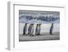 South Georgia Island. King penguins marching in front of Crashing Wave-Howie Garber-Framed Photographic Print